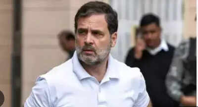 'वोट चोरी के दावे': ईसी स्लैम्स राहुल; अधिकारियों के लिए खतरे का कहना है