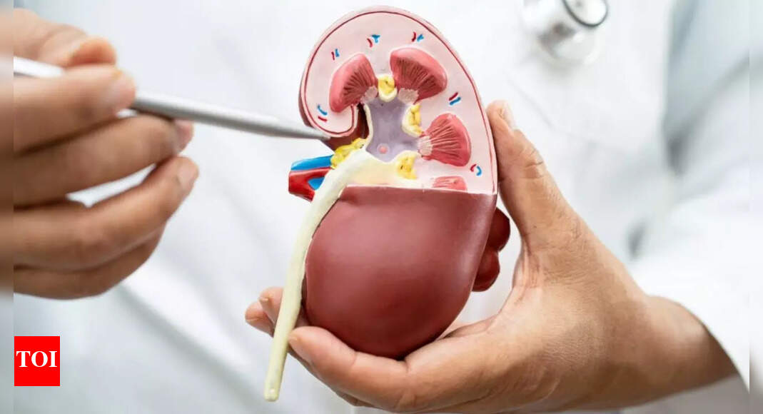 Kidney Health Symptoms