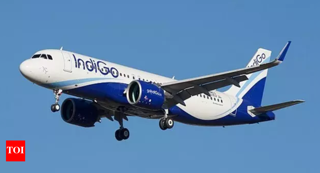 Mid-air assault: IndiGo bars man who hit co-passenger; puts him on no-fly list