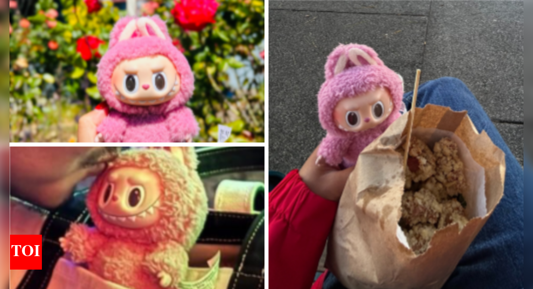 She's pink, has scuffs on face & eats popcorn chicken: Labubu doll goes missing in US