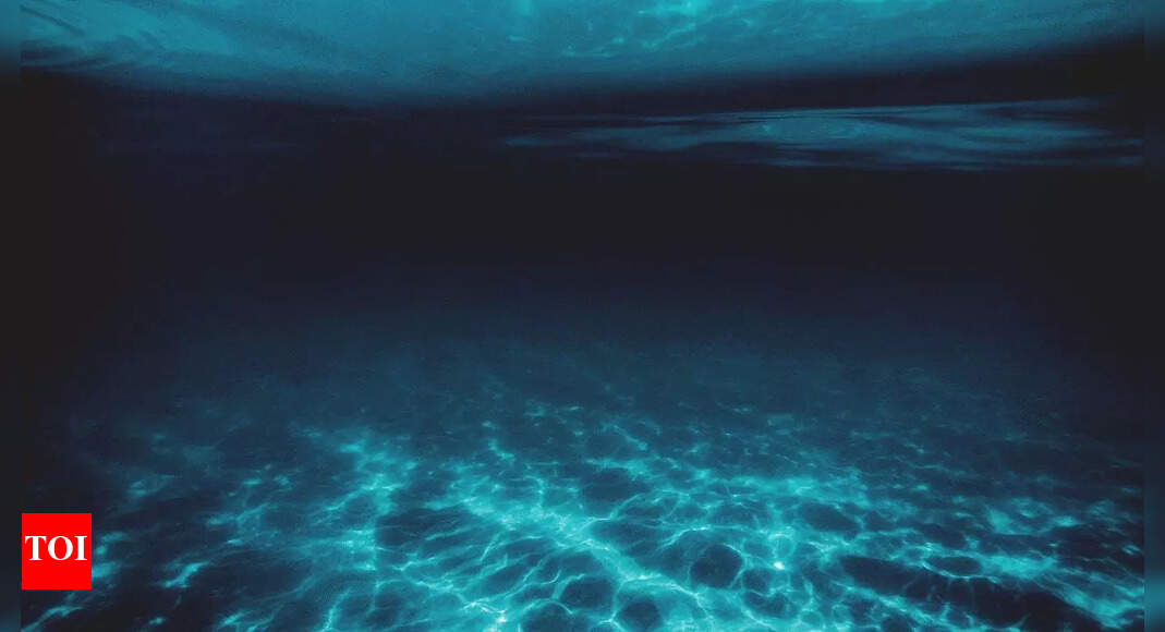 Life found 31,000 feet below the ocean: A hidden world of deep-sea  creatures thrives without sunlight | - The Times of India