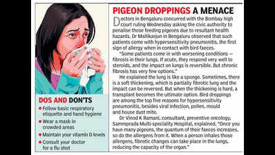 Bengaluru doctors warn against seasonal surge in respiratory infections, bird droppings