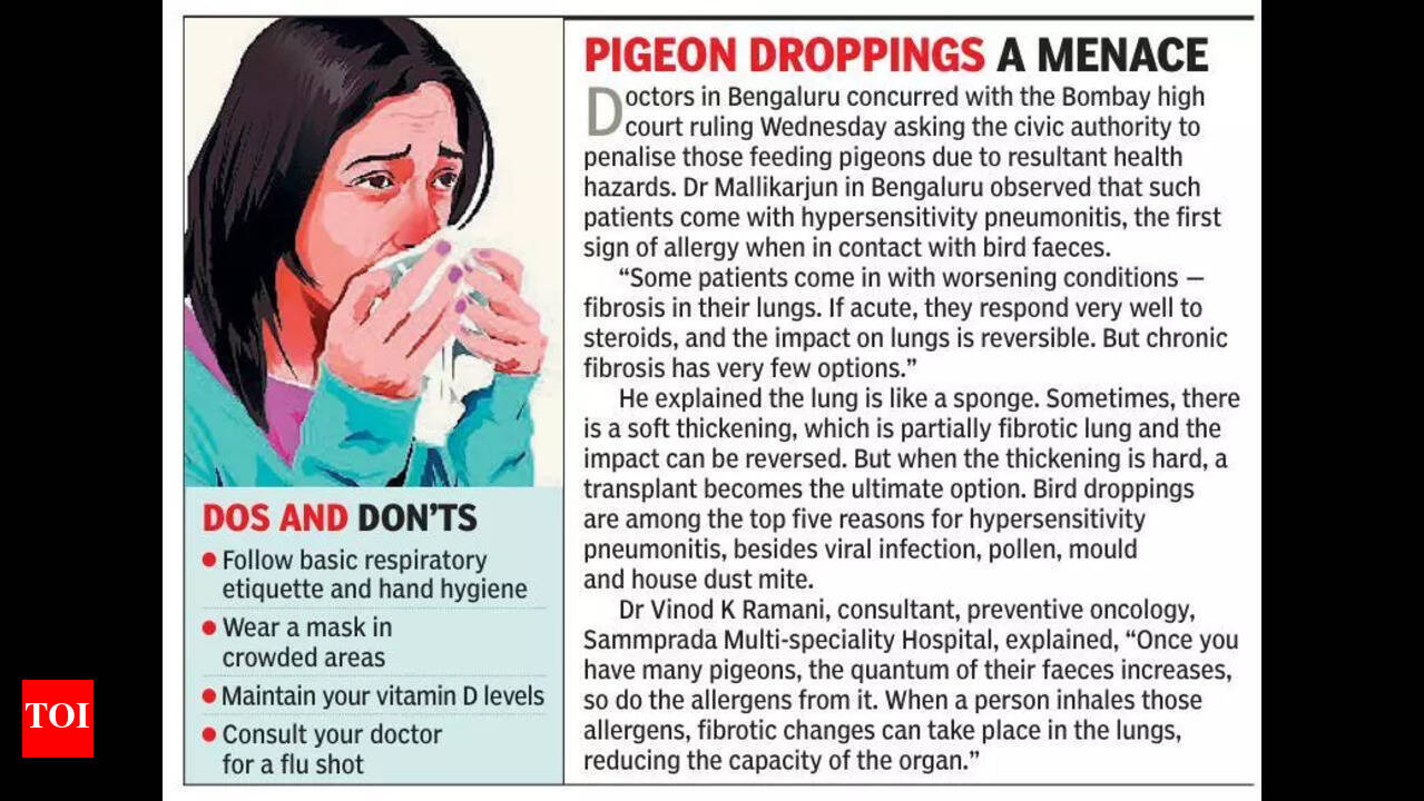 Can Bird Droppings Cause Lung Disease? Shocking Health Risks Revealed