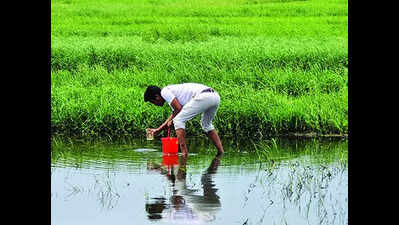Sewage from overloaded Baga waste plant floods fields