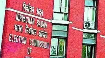 EC doubles pay for BLOs involved in roll revision
