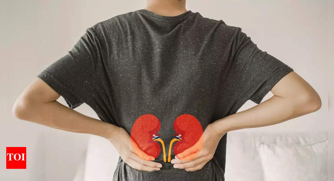 Kidney stone sizes and their health risks: What you need to know, and what size of kidney stone requires surgery? | – Times of India