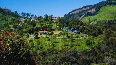 Why Ooty becomes a monsoon paradise for travellers