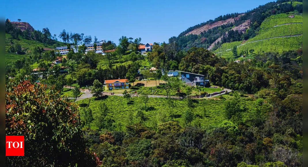 Why Ooty becomes a monsoon paradise for travellers