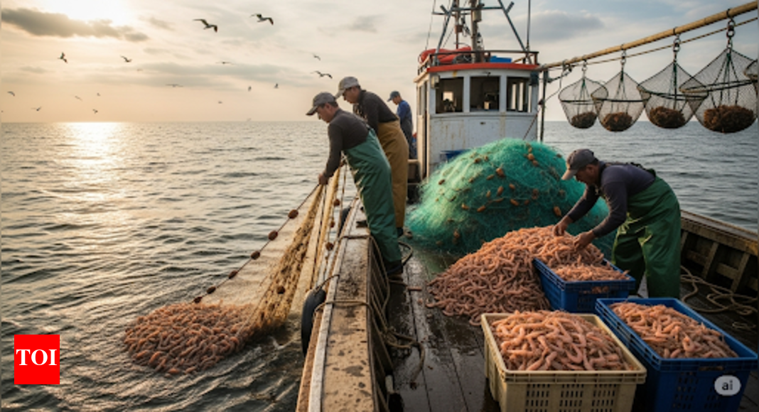 Kuwait’s Shrimp fishing season kicks off after 7-month ban: 297 vessels ready for harvest