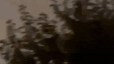 Ukrainian drones strike oil depot in Russia's Sochi; spark massive fire - watch