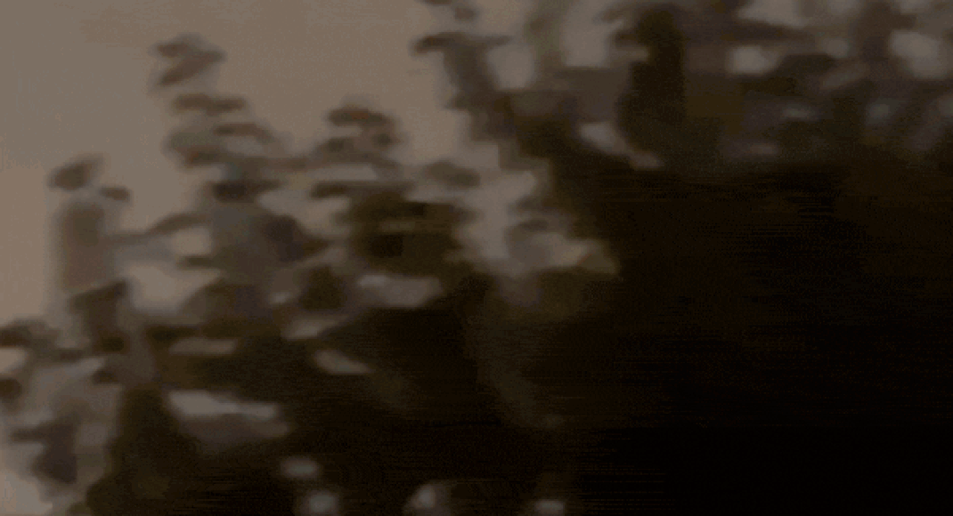 Ukrainian drones strike oil depot in Russia's Sochi; spark massive fire