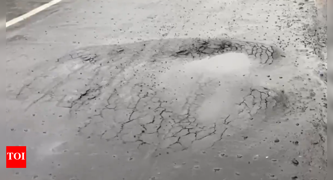 Watch: Part of Patna flyover sinks; was inaugurated 2 months ago