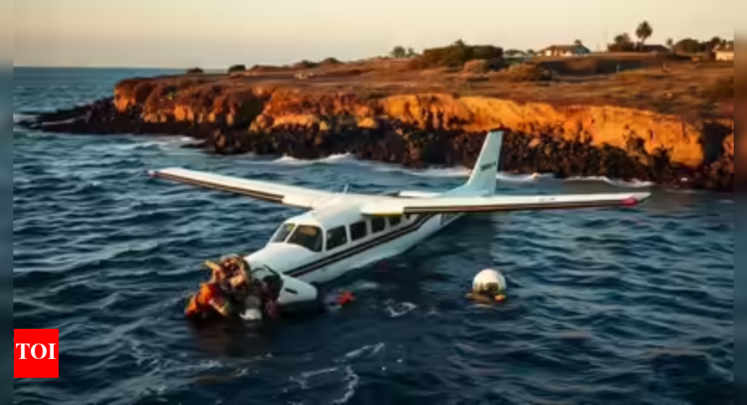 Stunts turn fatal: Pilot, son die in plane crash near Puerto Soller, Spain; investigation underway