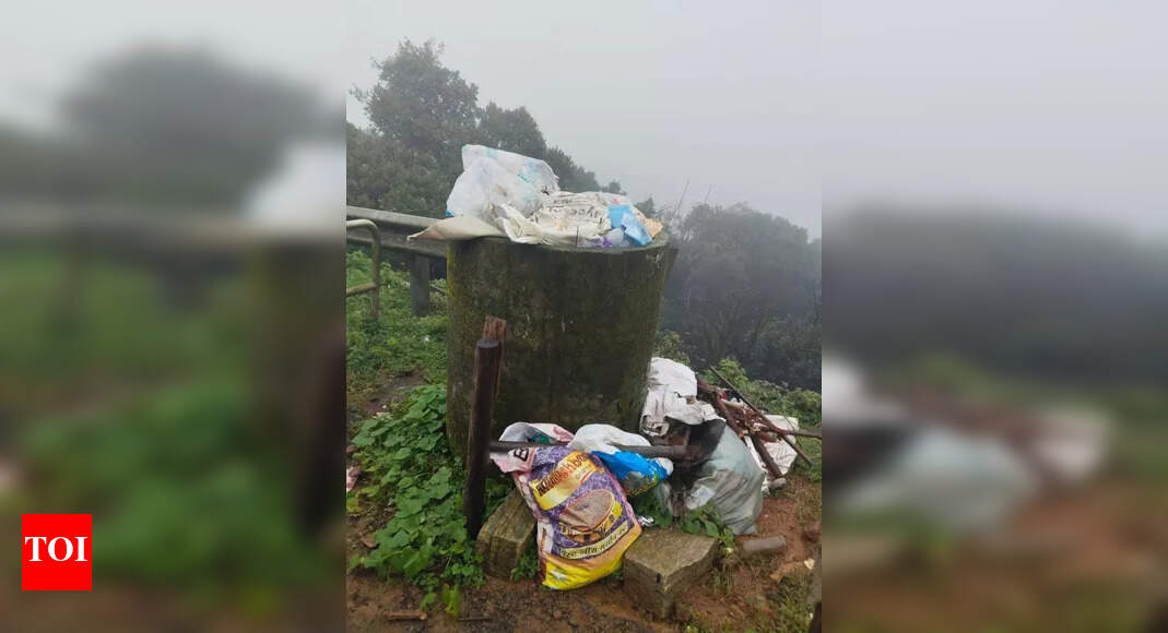 Bhagamandala GP struggles to manage temple garbage | Mysuru News ...