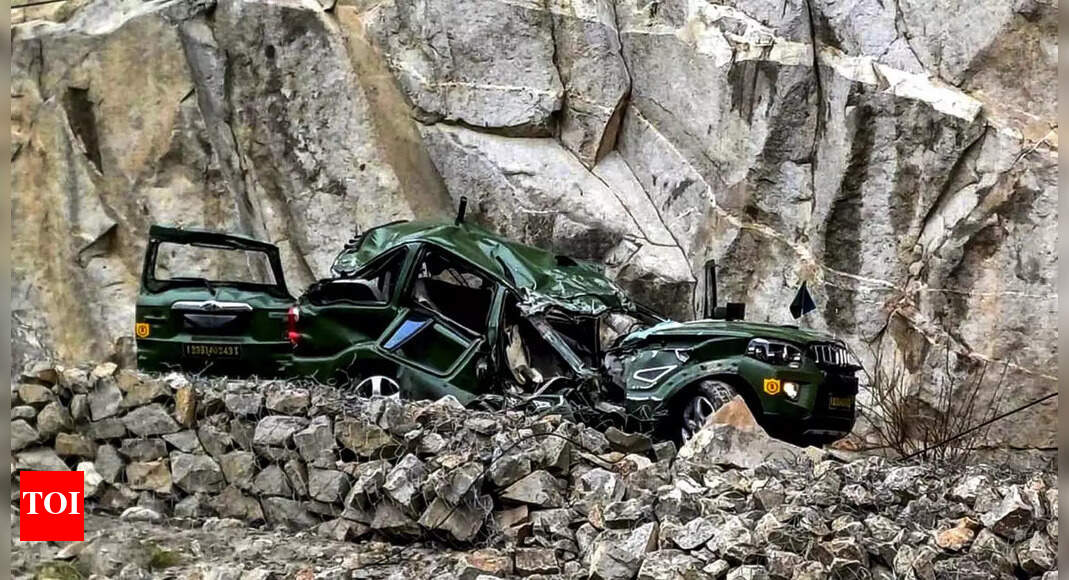Amarnath yatra car falls into gorge: 2 dead, 3 injured, victims were yatra volunteers