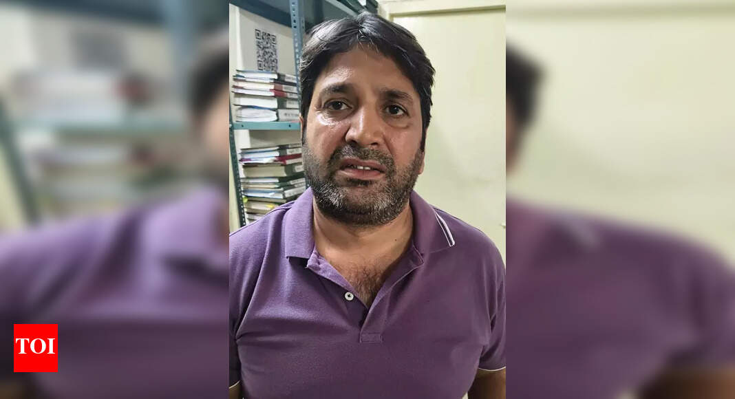 The Times of India - Entertainment - News Image