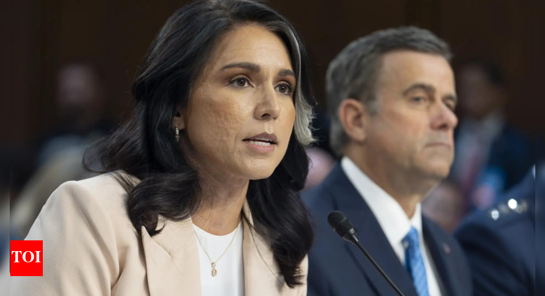 Russiagate: Tulsi Gabbard says Russia believed Hillary Clinton's 2016 victory 'inevitable'; claims Obama admin orchestrated hoax - Times of India