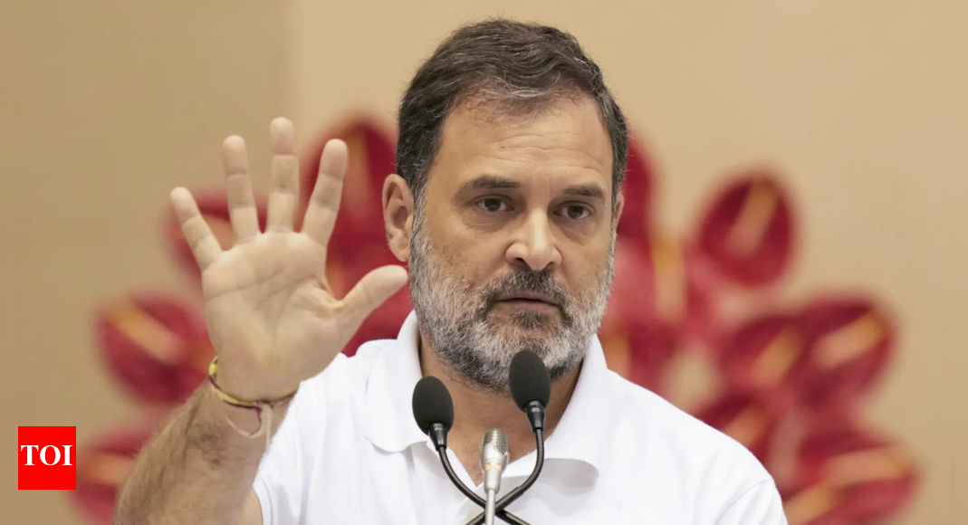'True Indian won't make such statement': SC slams Rahul over Army remark