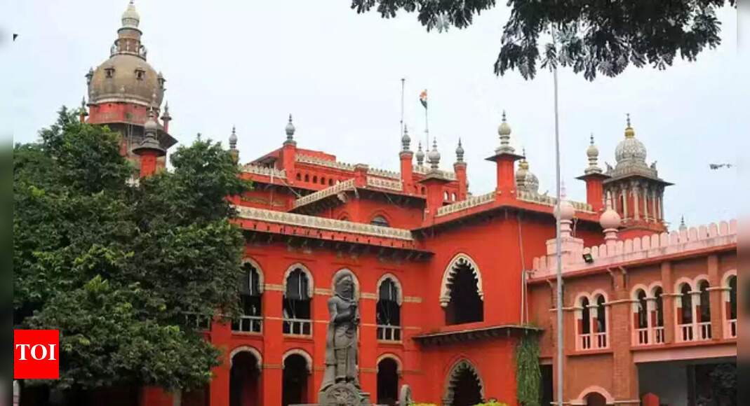 'Forced to fight in war': Lawyer moves Madras HC to secure release of Cuddalore student allegedly detained in Russia