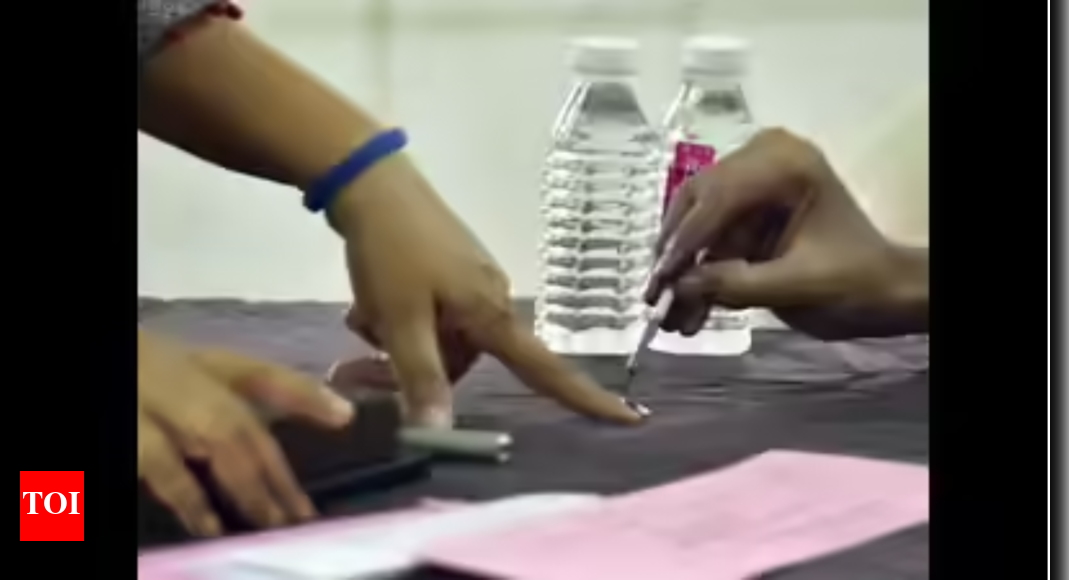 Uttarakhand panchayat poll: Declared winner says rival got more votes; seeks recount