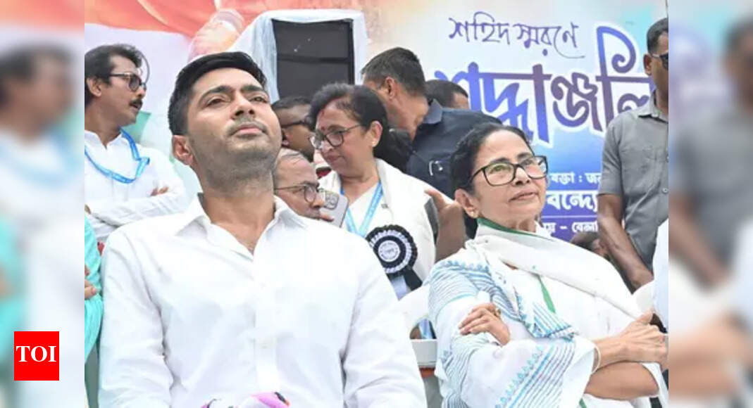 Abhishek Banerjee named TMC leader in Lok Sabha