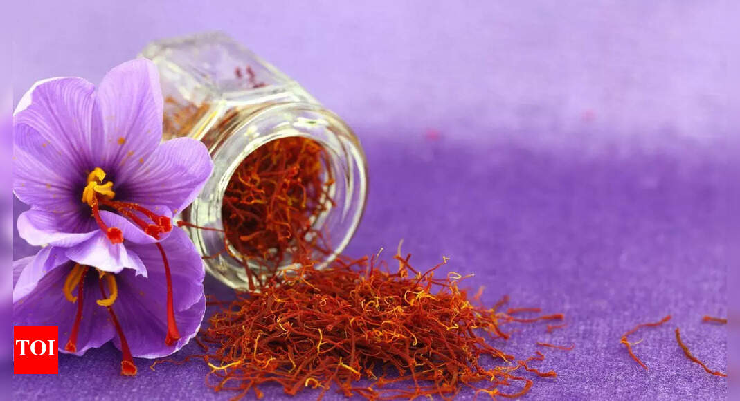 How to grow saffron at home: A guide to cultivating the world’s most ...