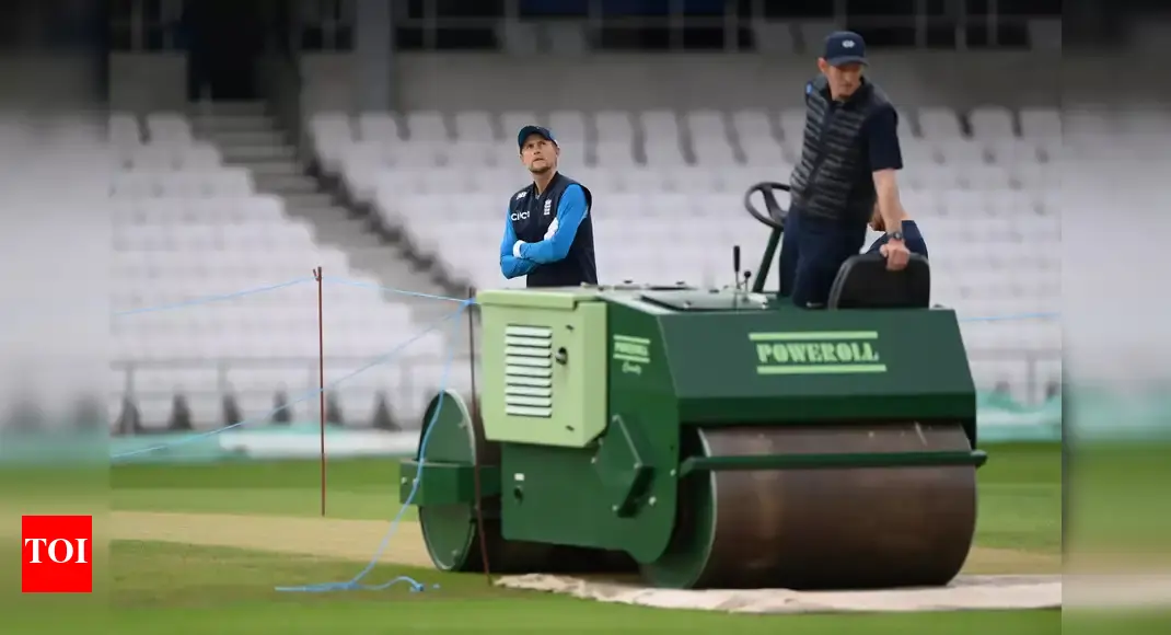 Explained: Heavy vs Light Roller – What’s the Difference?