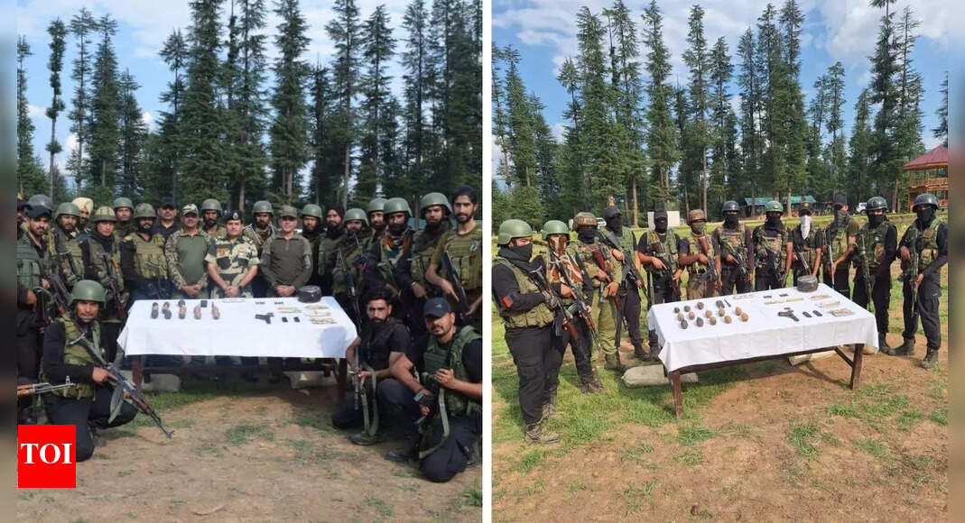 Kupwara cave raid: Chinese arms, IED manual recovered; anti-terror ops continue across J&K