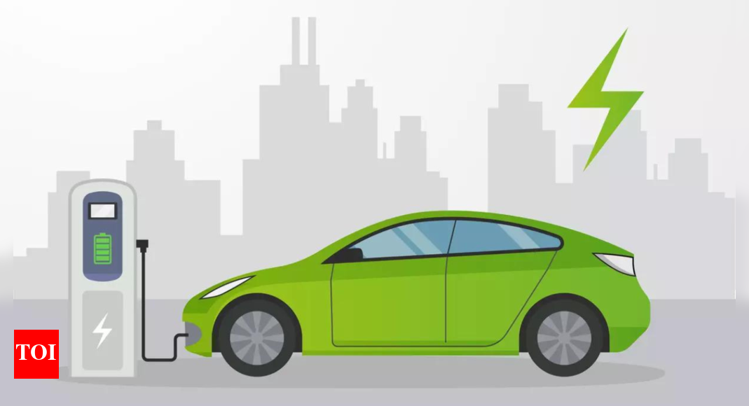 EV roadmap: Niti Aayog seeks time-bound national EV policy; sets roadmap to reach 30% EV sales share by 2030
