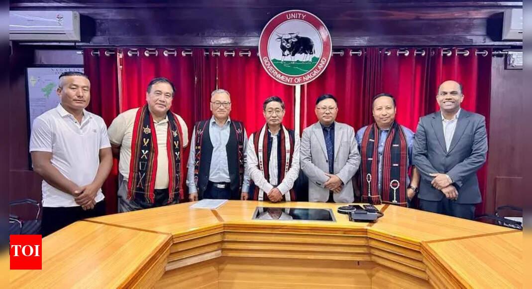 Nagaland tribes committee on job quota suspends stir