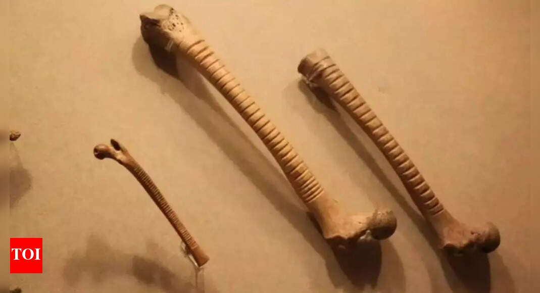 Archaeologists discover 800-year-old bones that were used as musical ...