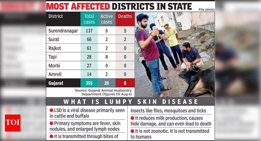 Milk testing flags LSD early; 355 cases reported in 11 dists of state ...