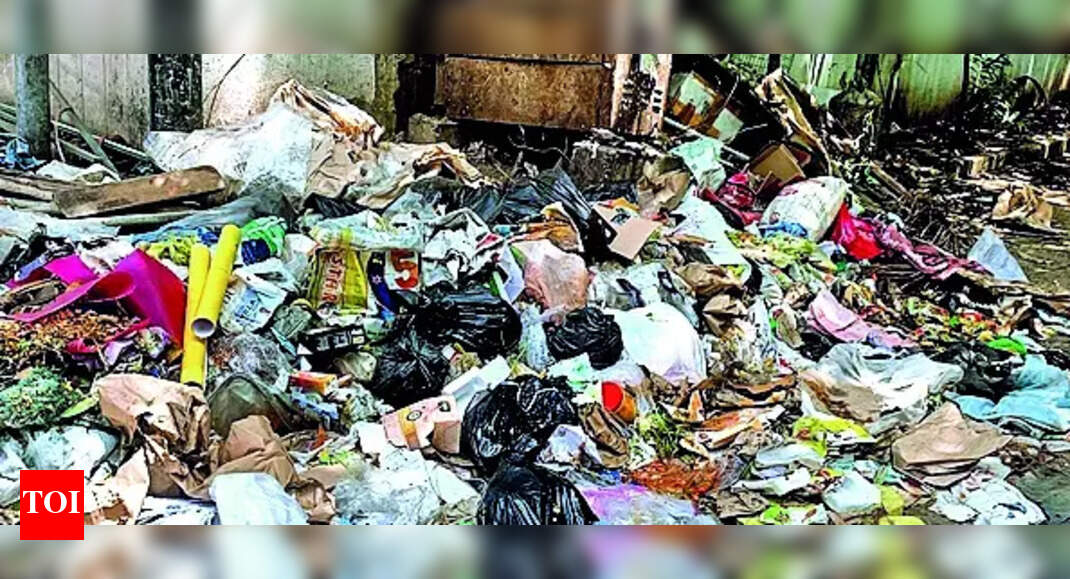 Bill to penalise litterbugs passed