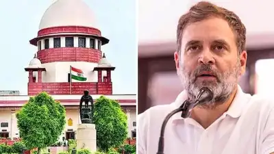 SC pulls up Rahul for 'Chinese thrashing our soldiers' remark