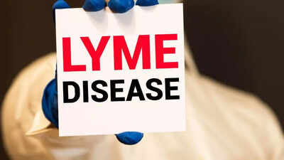 Lyme disease or co-infection: How to spot differences in symptoms