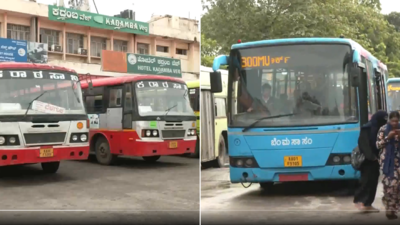 Unpaid salaries, opposition to privatisation: Why Karnataka transport workers are protesting - key points