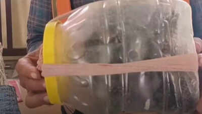 25 baby cobras in 15 days: MP school shuts classrooms; digs floors to end snake scare