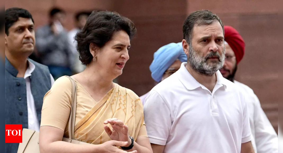 ‘They don’t decide who a true Indian is’: Priyanka defends Rahul after SC rebuke; insists he never disrespected Army