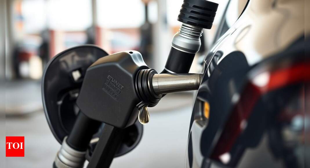 Ethanol-blended petrol push: Is your vehicle ready? 10 things to know