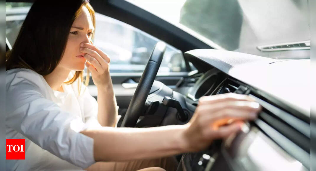 How to remove humid and musty smell from your car: 7 effective tips