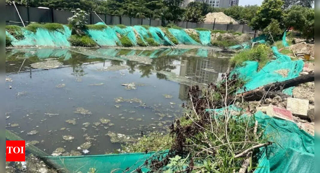 Sewer overflows, road cave-ins and potholes plague Greater Noida