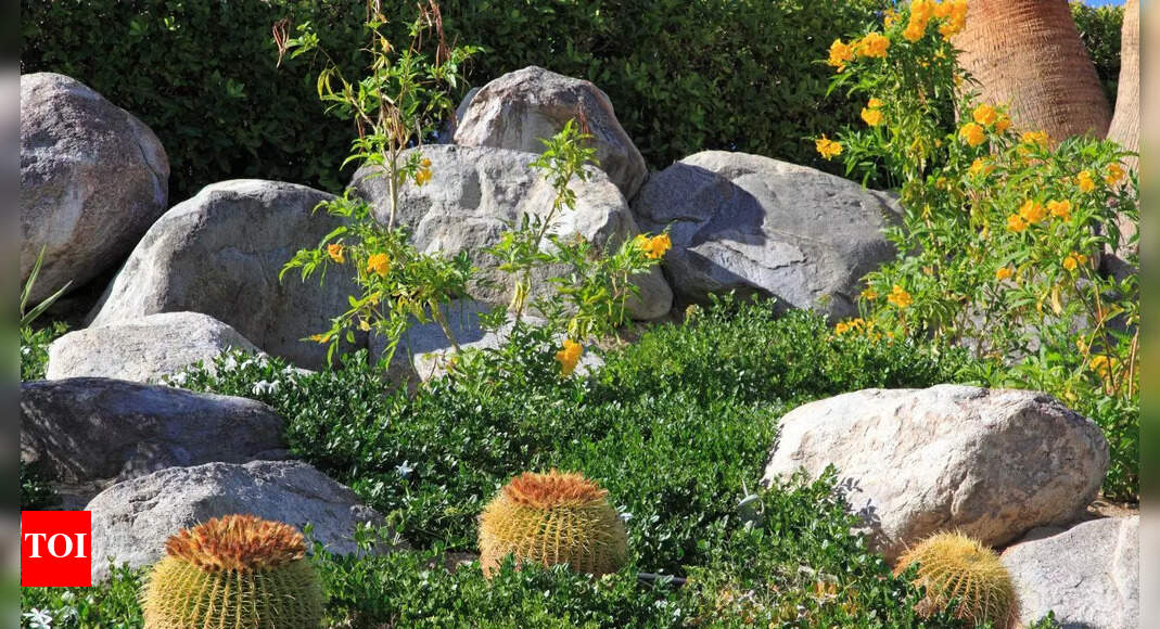 Tired of pulling weeds? Grow these 7 ground cover plants to naturally prevent weed growth in your garden | – Times of India