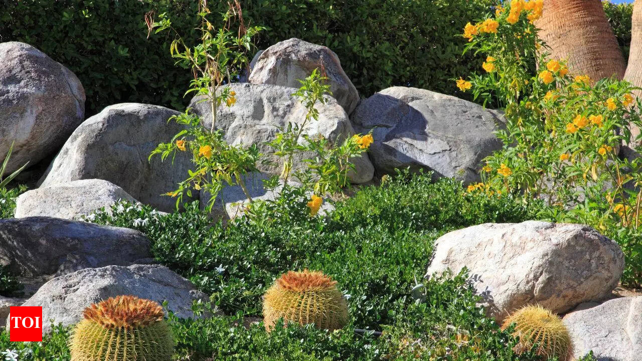 How Do I Keep Weeds Out of My Rock Garden: Proven Expert Tips