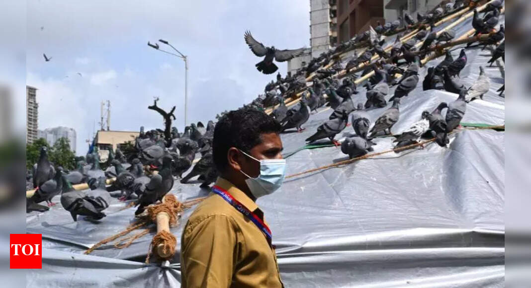 While govt appears to backtrack, BMC seeks police cover at GPO | Mumbai ...