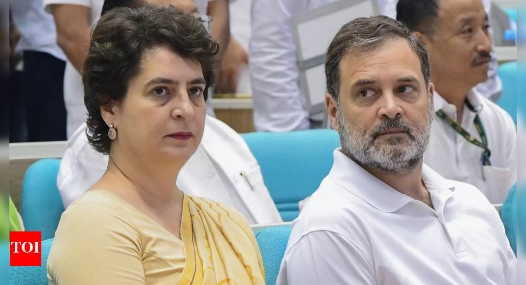 'Irresponsible statements': Priyanka Gandhi’s take on SC remarks draws flak; BJP may file contempt petition