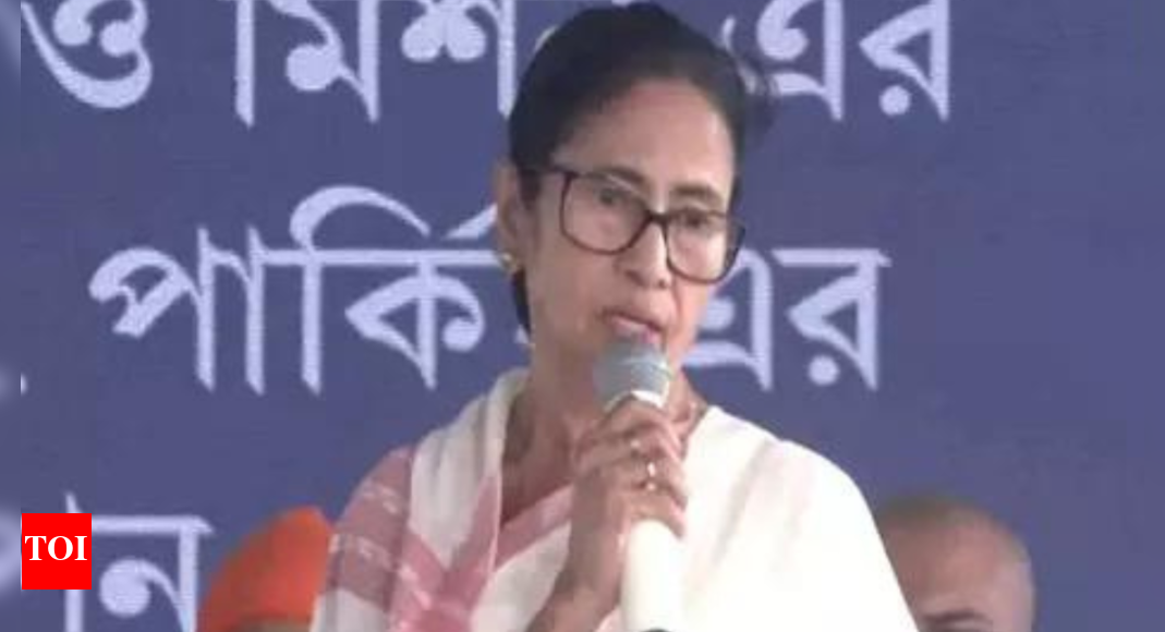 Bengali row: Mamata leads rally; attacks Centre over NRC, voter list revision