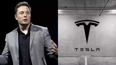 Los accionistas de Tesla demandan a la compañía y al CEO Elon Musk por las reclamaciones de Robotaxi