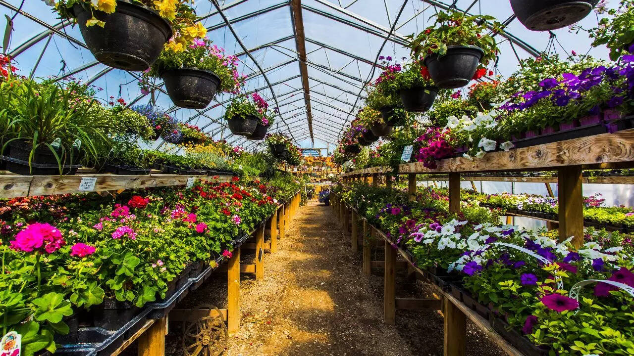 How to Store Garden Chemicals Away from Kids: Essential Safety Tips