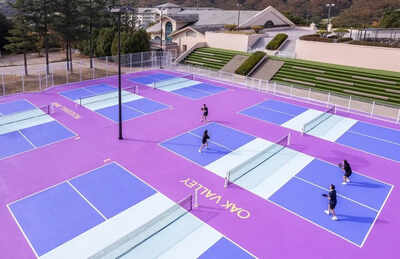 Global Sports Pickleball hosts tournament with close to 900 picklers