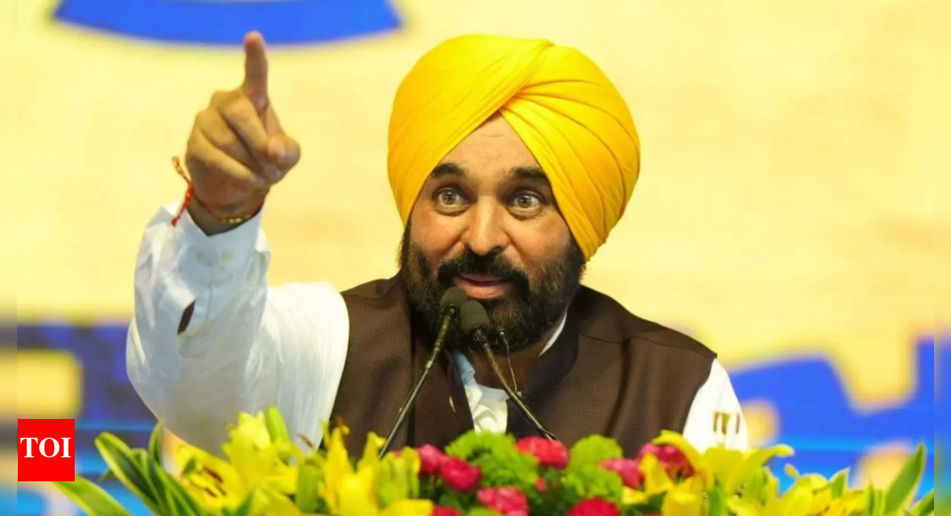 Punjab launches major crackdown on food adulteration: Over 5,000 kg paneer, 4,000 kg milk destroyed; legal action, seizures follow
